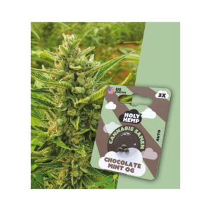Holy Hemp Cannabis Seeds Schokolade Mint OG