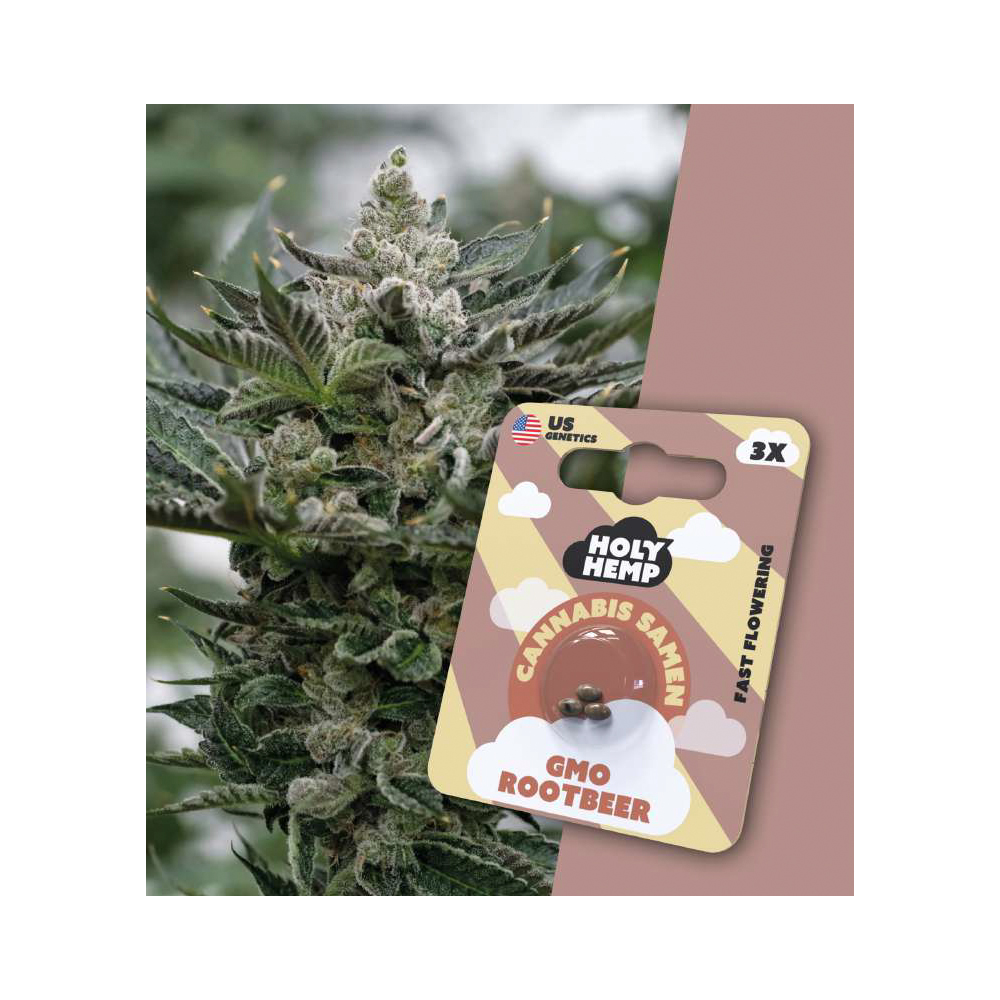 Holy Hemp Cannabis Seeds GMO Rootbeer