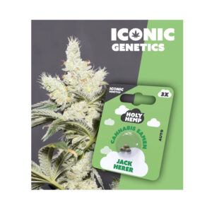 Holy Hemp Cannabis Seeds Jack Herer