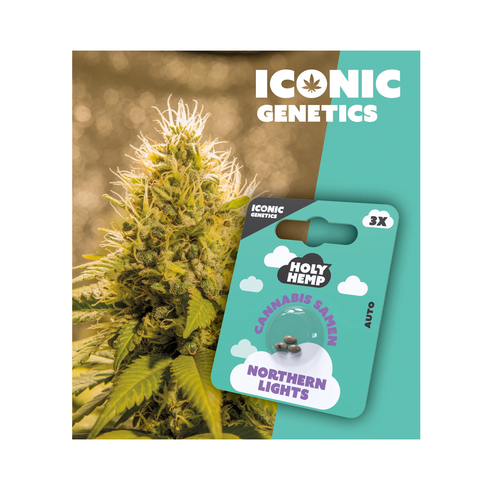Holy Hemp Cannabis Seeds Northern Lights