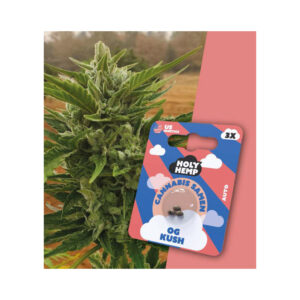 Holy Hemp Cannabis Seeds OG Kush