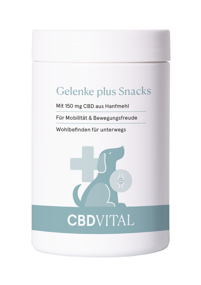 CBD Vital Hunde-Snacks Gelenke