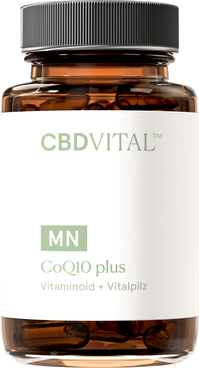 CBD Vital Coenzym Q10 plus
